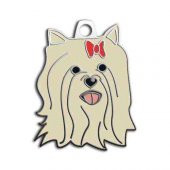 York Shire Terrier Köpek Künyesi - 1