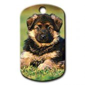 Yavru Alman Kurdu Resimli Köpek Künyesi - 1
