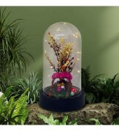 Sevgiliye Aşk Bahçesi Işıklı Teraryum Fanus thumbnail 1
