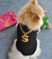 Pet Style RENK SEÇENEKLİ,KEDİ VE KÖPEK İÇİN (DOLAR) ELBİSE,KIYAFET,XS-S-M-L - 2