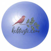 Pilates Topu 20 Cm - 1