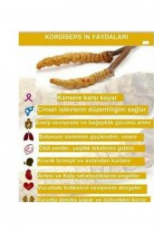 Tiens  Kordiseps Mantarı Cordyseps Kordysep Cordysep -kordisep - 2