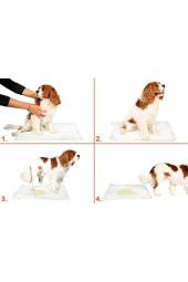 POSY 5 Li Köpek Tuvalet Eğitim Pedi - Kullan At Çiş Pedi - 90 X 60 Cm - 1