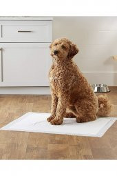 Köpek Kokusuz Çiş Pedi 60x90 Cm 10lu Paket - 1