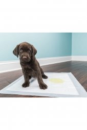 Köpek Çiş Pedi 60x90 30lu Paket X 6 Adet - 1