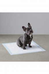 POSY Köpek Çiş Pedi 60x90cm 60 Adet - 1
