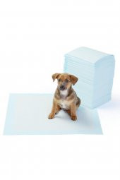 Kedi Köpek Çiş Eğitim Pedi 60x90 80 Adet - 1