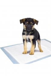 Köpek Çiş Pedi 60x90 (30lu) - 1
