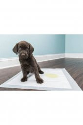 Köpek Çiş Pedi 60x90 (30lu) - 2