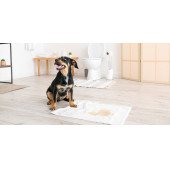 POSY 60x90 Cm Kedi Köpek Çiş Pedi 30 Adet - 1