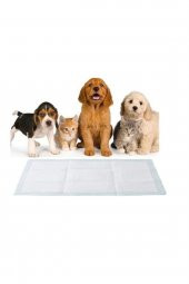 Kedi Köpek Çiş Pedi Yatak Koruyucu Örtü 60x90cm 10lu 2 Paket - 2