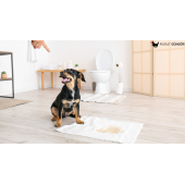 Evcil Hayvan Çiş Pedi Yatak Koruyucu 60x90 Cm 30 Kullanım 5090 - 1
