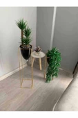 2'li Metal Ayaklı Saksı Çiçeklik -s100 - 4