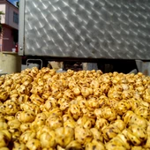 KAVRULMUŞ SADE ÇORUM LEBLEBİSİ -(1 KG) - 1