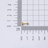 14 Ayar Altın Balık Tragus Küpe - 5