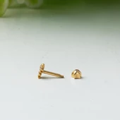 14 Ayar Altın Balık Tragus Küpe - 3