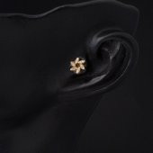 14 Ayar Altın Piercing Tragus Küpe - 2