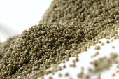 Gemlik Diamonyum Fosfat (DAP) 50 Kg. Fosfor ve Azot Gübresi - 3