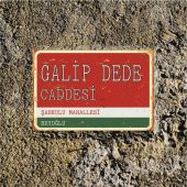 İstanbulun Meşhur Yerleri -Galip Dede Caddesi- Retro Ahşap Dekor Duvar Plaka - 5
