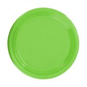 Benim Marifetlerim Yeşil Plastik Tabak 25 Adet 22 cm - 1
