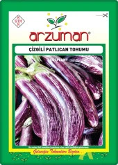 Çizgili Patlıcan Tohumu (10 Gr) Alaca Patlıcan - 1