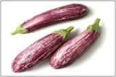 Çizgili Patlıcan Tohumu (10 Gr) Alaca Patlıcan - 2