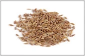 Arzuman Dereotu Tohumu (10 Gr) - 3