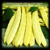 Fasülye Tohumu 250 Gr (650+ Adet) Erva 51 Sarı Özel Fasulye Tohum - 1