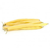 Fasülye Tohumu 1 Kg.(2500+ Adet) Erva 51 Sarı Özel Fasulye Tohumu - 2