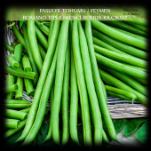 Özel Feymen Fasülye Tohumu 1 Kg. (2500+ Adet) Kılçıksız Erkenci Bodur Fasulye Tohumu thumbnail 1