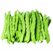 Sarı Kız 40 Günlük Fasülye Tohumu 1 Kg. (2500+ Adet) Erkenci Oturak Fasulye Tohumu - 2