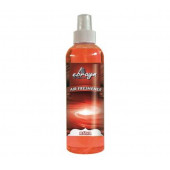 Ebrayn Oto Koku Rüya 250ML - 1