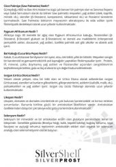 Silvershell SilverProst Saw Palmetto, Pygenum Africanum, Pumpkin Seed, Urtica Dioica, Likve Selenyum 30 Kapsul thumbnail 4