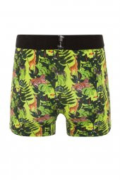 Farm Animals Tropical Desenli Boxer - 2