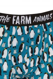 Farm Animals Penguins Desenli Boxer - 3