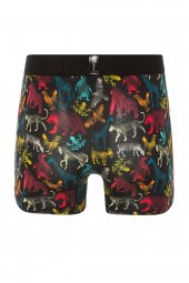 Farm Animals All Animals Desenli Boxer - 2