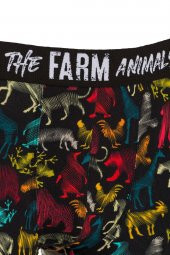 Farm Animals All Animals Desenli Boxer - 3