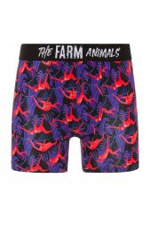 Farm Animals Red Monkey Desenli Boxer - 1