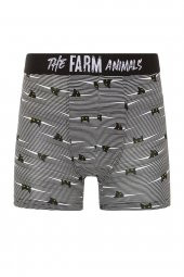 Farm Animals Yellow Eyed Hide N Cat Desenli Boxer - 1