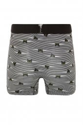 Farm Animals Yellow Eyed Hide N Cat Desenli Boxer - 2