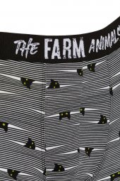 Farm Animals Yellow Eyed Hide N Cat Desenli Boxer - 3