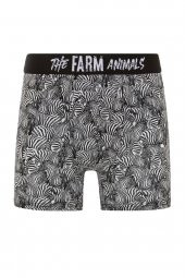 Farm Animals Zebra Desenli Boxer - 1