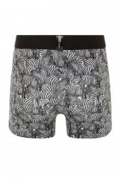 Farm Animals Zebra Desenli Boxer - 2