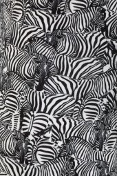 Farm Animals Zebra Desenli Boxer - 4
