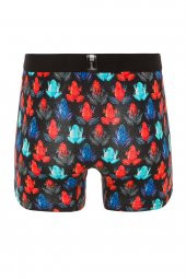 Farm Animals Frogs Desenli Boxer - 2
