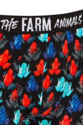 Farm Animals Frogs Desenli Boxer - 3