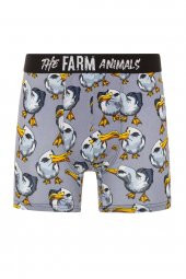 Farm Animals Seagull Desenli Boxer - 1
