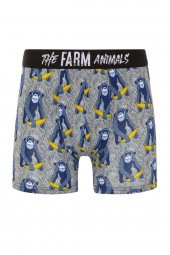 Farm Animals Monkey Banana Bue Desenli Boxer - 1