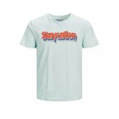 Jack&Jones Jorystays Pale Blue  Erkek T-shirt 12186206 - 1