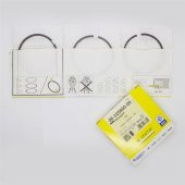 SEGMAN SAXO 1.5 STD XSARA NİSSAN MİCRA  TU5D 77,00MM 2X1,75X3 - 1